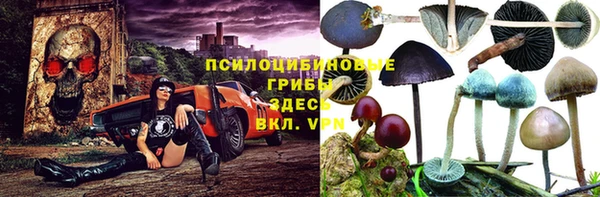 mdpv Абдулино