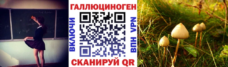 Галлюциногенные грибы мухоморы Суоярви